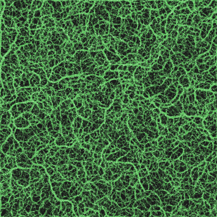 Ant Simulation